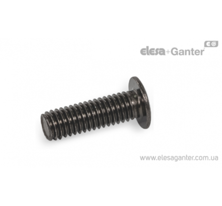 Низькопрофільні складальні гвинти з особливо тонкою головкою для кріплення тонких листів і поверхонь GN 14580.5-BN – фото 1